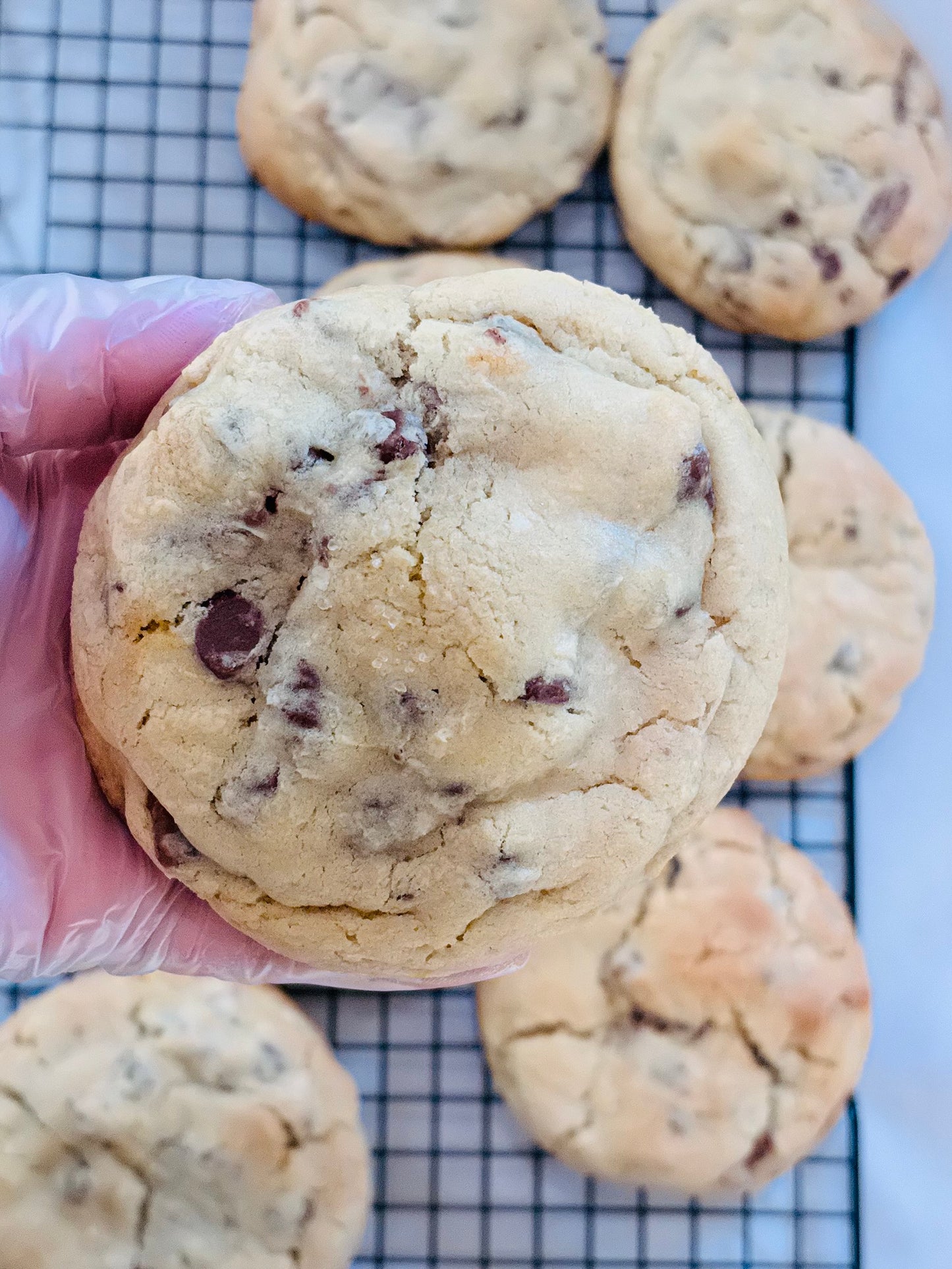 Sea Salt Chocolate Chip Cookie